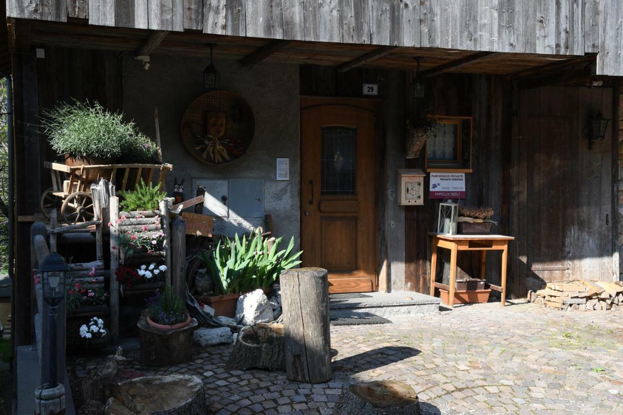 Cianbolpin Guesthouse Canazei Dış mekan fotoğraf