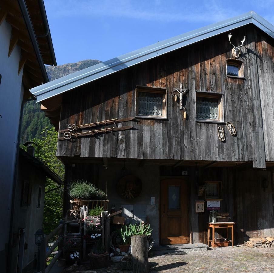 Cianbolpin Guesthouse Canazei Dış mekan fotoğraf