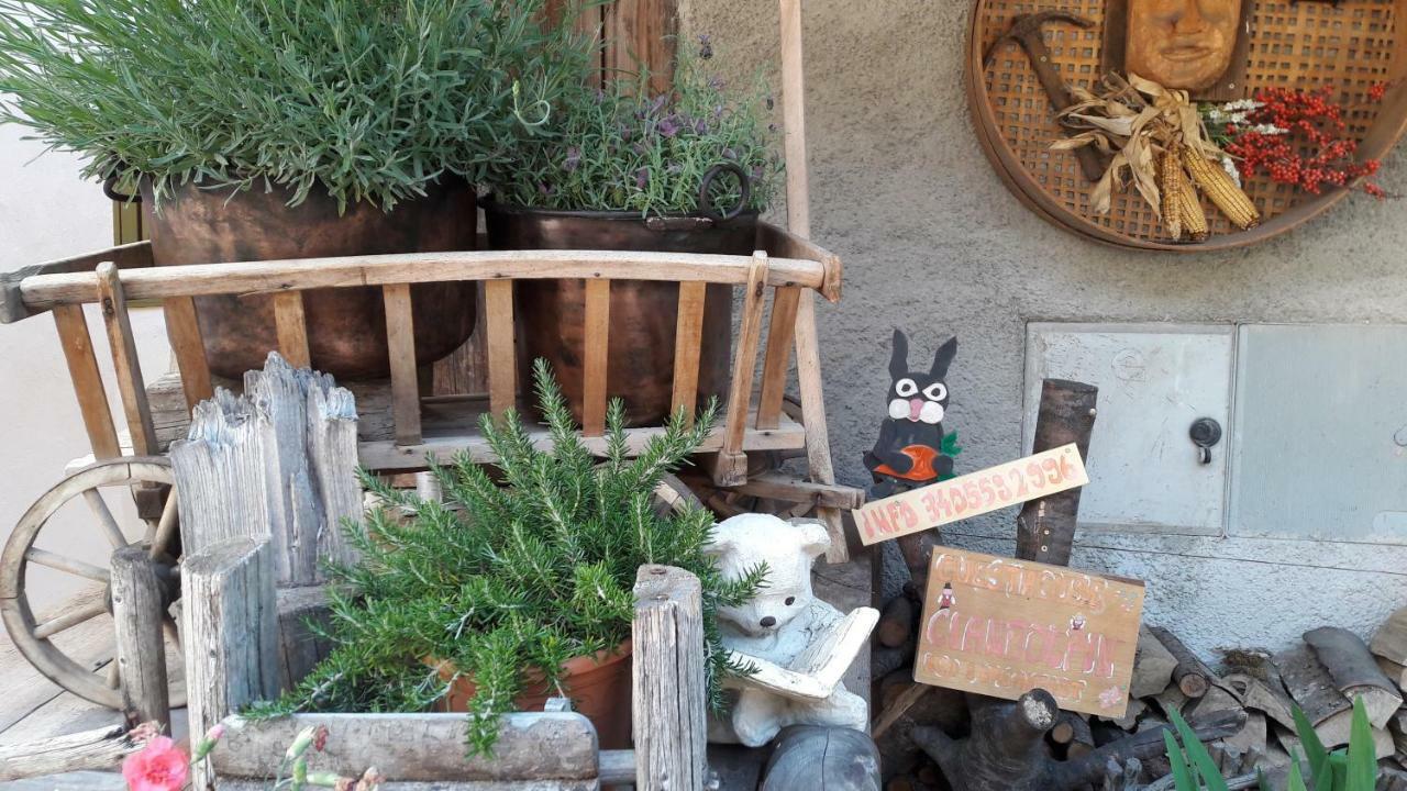 Cianbolpin Guesthouse Canazei Dış mekan fotoğraf