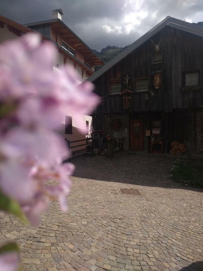 Cianbolpin Guesthouse Canazei Dış mekan fotoğraf