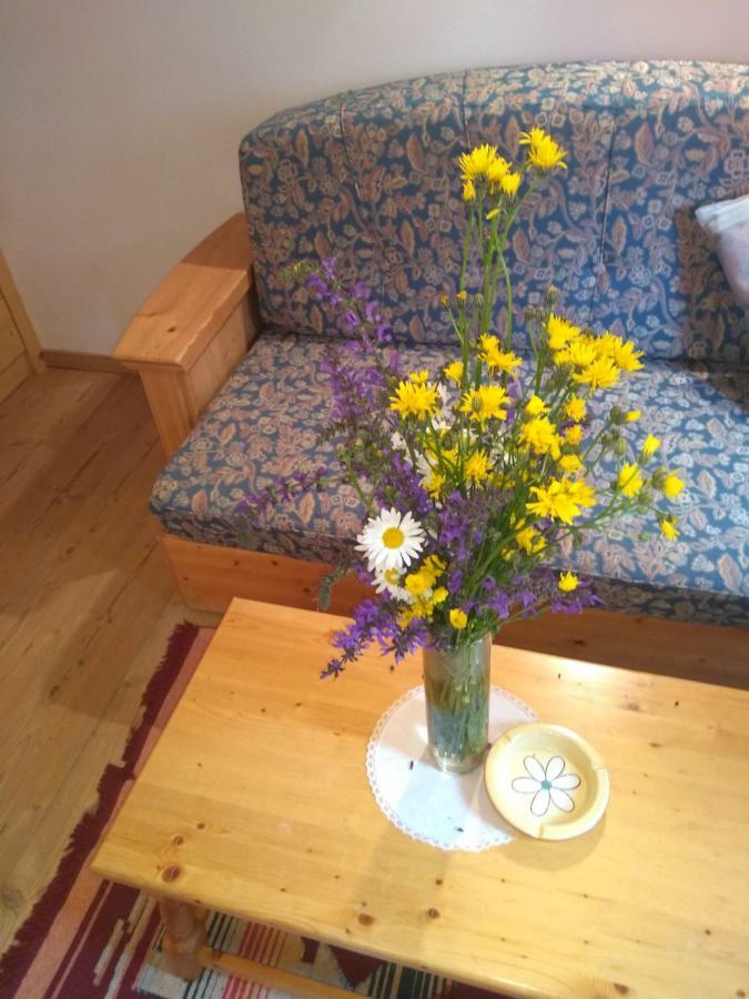 Cianbolpin Guesthouse Canazei Dış mekan fotoğraf
