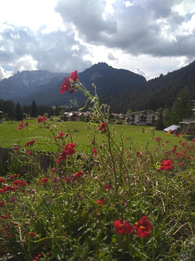 Cianbolpin Guesthouse Canazei Dış mekan fotoğraf